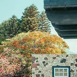アパート Casa Maida