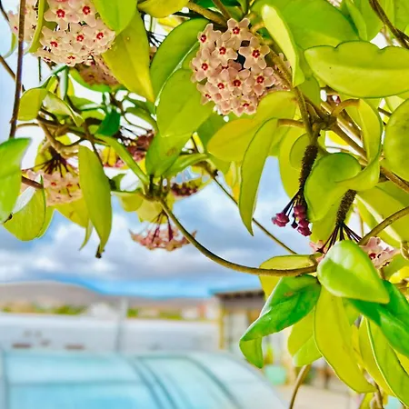 Casa Maida Апартаменты