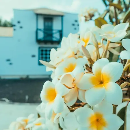 Casa Maida Апартаменты