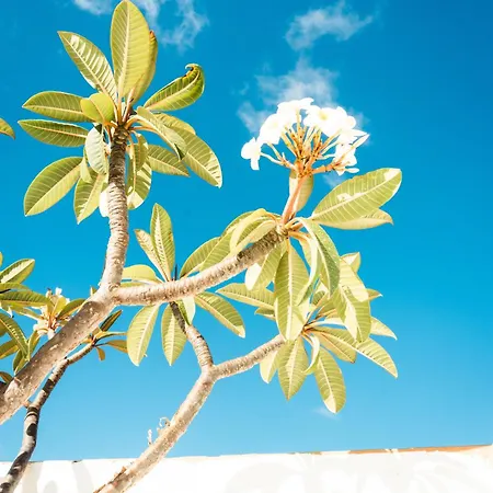 Апартаменты Casa Maida