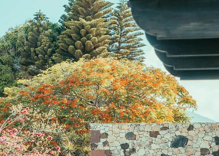 Apartment Casa Maida