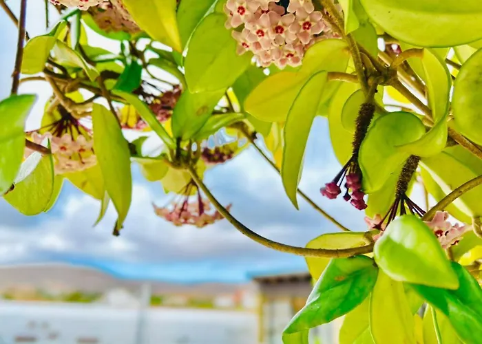 Casa Maida Apartment